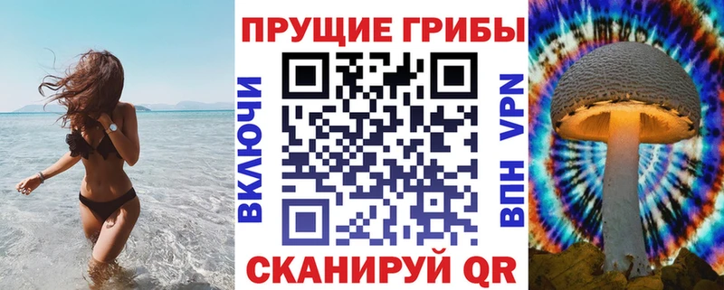 где продают   Лихославль  Галлюциногенные грибы Cubensis 